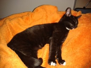 2012-10-21-21.49.04.jpg