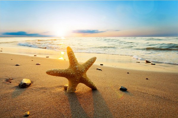 Echter Profi-Tipp: Die Farben auf diesem Foto strahlen so schön dank Aufnahme bei Sonnenaufgang. Fotolia_21858060_L.jpg