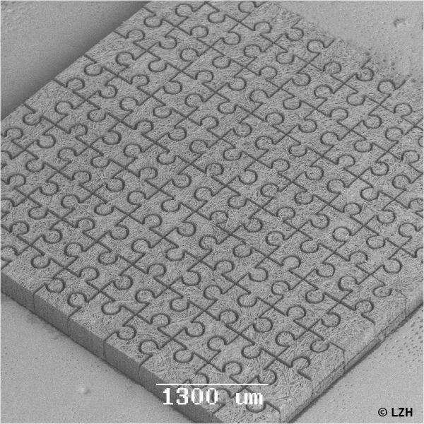 Papierpuzzle 100 Teile | © Laserzentrum Hannover e.V. Papierpuzzle-100-Teile_Logo.jpg