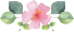 Blumen Muttertag