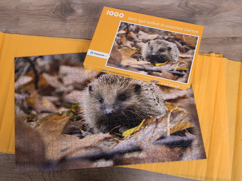 1000-Teile-Puzzle mit Herbst-Motiv