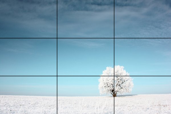 Bei diesem Foto wurde das Hauptmotiv bewusst nicht in die Bildmitte gesetzt, denn im Goldenen Schnitt wirkt es besser. goldenerSchnitt.jpg