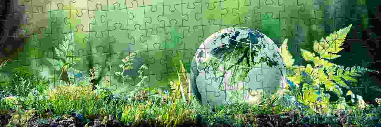 Vorreiter in der Puzzle-Branche