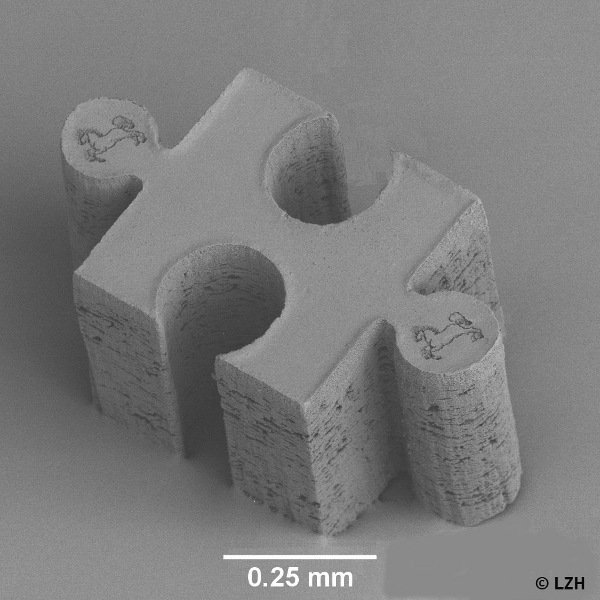 Puzzleteil | © Laserzentrum Hannover e.V. Puzzleteil-mit-Nds-PferdLogo.jpg